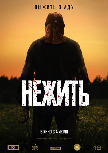 Коллекционер: Возрождение
